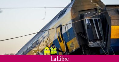 Plusieurs blessés graves et un mort dans une collision entre deux trains aux Pays-Bas (PHOTOS)