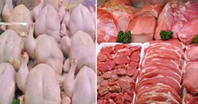 Prix des viandes : vers une baisse après diminution des coûts des aliments de bétails