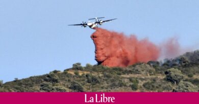 Pyrénées-Orientales : premier grand incendie de l'année, plus de 900 ha parcourus