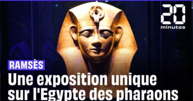 Ramsès II : Découvrez le sarcophage du célèbre pharaon à Paris