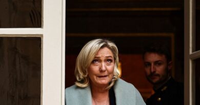 Réforme des retraites : Selon Marine Le Pen, Emmanuel Macron a le « choix » entre référendum, dissolution et démission