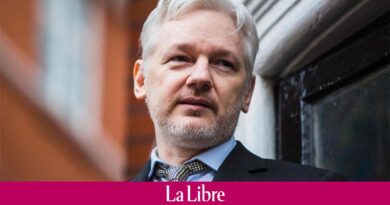 RSF se voit refuser une visite à Julian Assange et dénonce une explication "absurde"