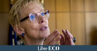 Taxation des gros capitaux de pension complémentaire: la ministre Karine Lalieux persiste