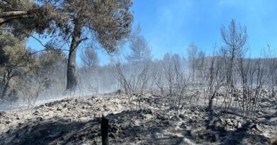 Bouches-du-Rhône : Un incendie aux portes de Marseille parcourt une dizaine d’hectares