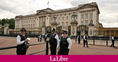 Buckingham Palace : arrestation d’un homme ayant lancé des munitions présumées