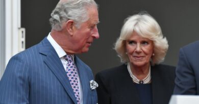 Charles et Camilla : un amour qui dure envers et contre tous depuis 53 ans