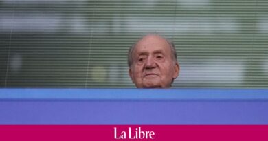 Espagne : un livre révèle que l’ex-roi Juan Carlos aurait une fille illégitime