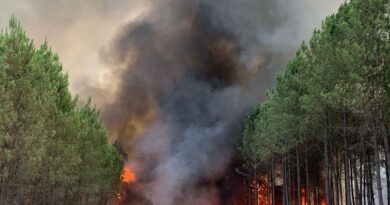 Gironde : « Les incendiaires seront moins tranquilles qu’à une époque » assure la DFCI, avant l’été