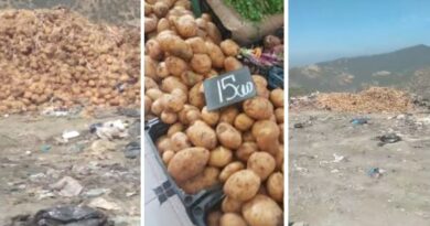 Grosses quantités de pomme de terre jetées à Skikda : l’APOCE s’indigne et dénonce