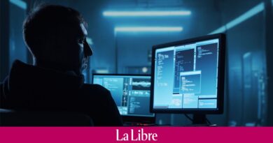 Le site du Sénat français bloqué par des hackers pro-russes