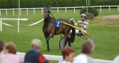 Morbihan : Un cheval percute un spectateur à l’hippodrome de Séné
