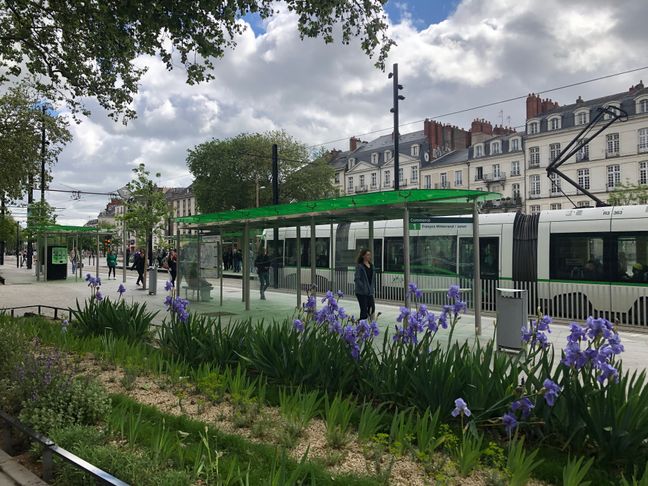Les quais jardins de part et d'autres de la ligne du tramway, secteur Feydeau Commerce à Nantes