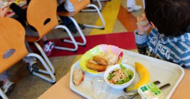 Pau : 80 élèves d’une école malades après le déjeuner à la cantine, l’école fermée ce vendredi