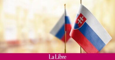 Slovaquie: le banquier Ludovit Odor désigné Premier ministre