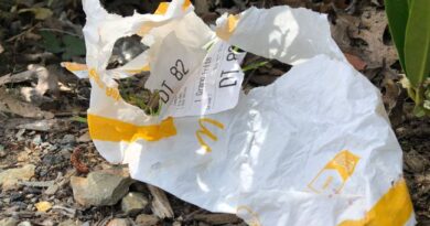 Symbole du déchet balancé, McDonald’s tente de s’effacer du paysage