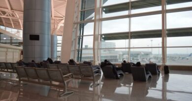 Aéroport d'Alger : des transats pour améliorer le confort des voyageurs