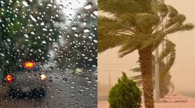 Pluies, vents, nuages… Les prévisions météo en Algérie pour ce mercredi 8 novembre