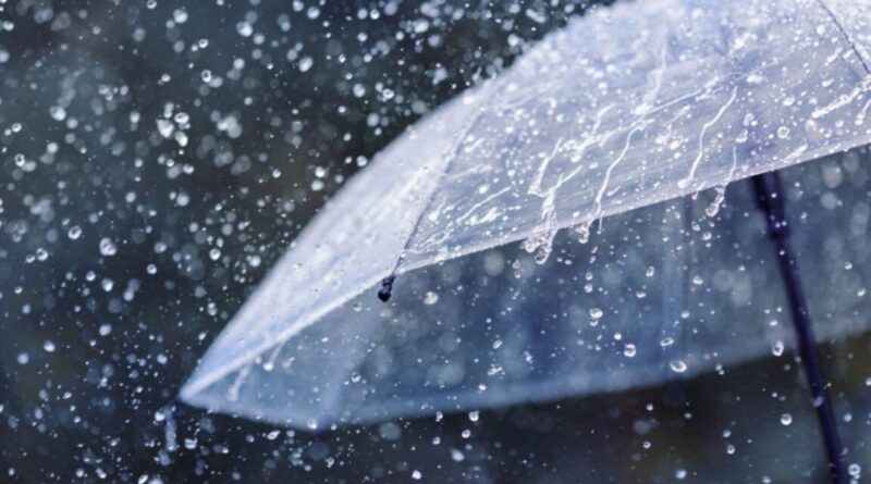 Bulletin Météo Spécial : pluies orageuses jusqu'à 60 mm sur 15 wilayas ce 13 décembre