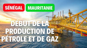 موريتانيا تعلن تصدير أول شحنة من غازها الطبيعي منتصف العام القادم - Actualités Tunisie Focus