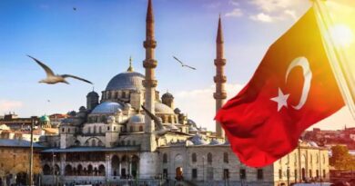 Fêtes de fin d'année 2023 : les vols vers Istanbul en promotion chez Air Algérie