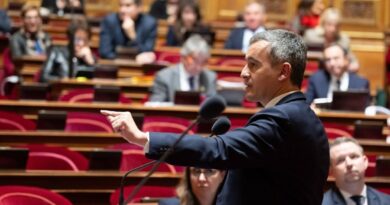 France : la nouvelle loi d'immigration rejetée sans débat par les députés