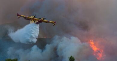 Lutte contre les incendies: l'Algérie réceptionnera 6 avions bombardiers d'eau en janvier