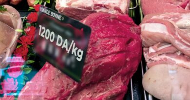 Maintenir le prix de la viande rouge à 1200 DA : le ministère adopte plusieurs mesures