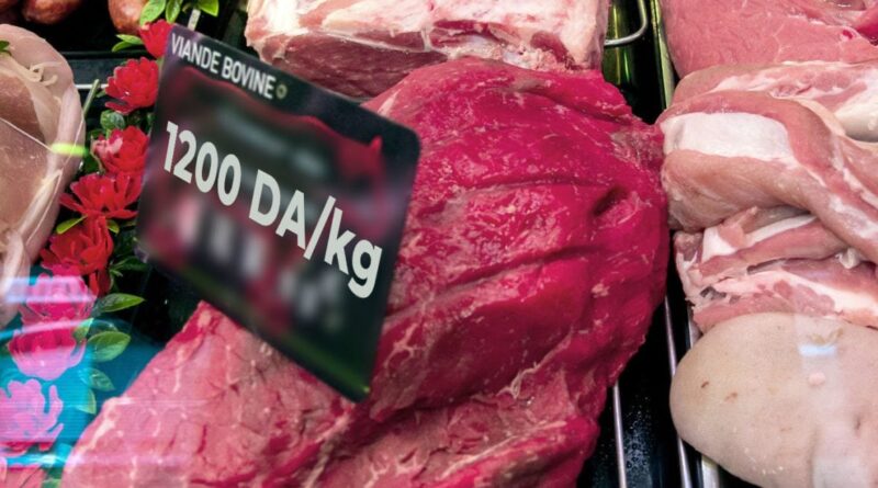 Maintenir le prix de la viande rouge à 1200 DA : le ministère adopte plusieurs mesures
