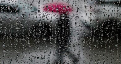 Météo Algérie : retour de la pluie et baisse des températures dès demain