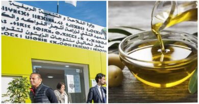 Oléiculture : Béjaia se dote d'un laboratoire d'analyse accrédité pour l'huile d'olive