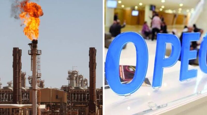 OPEP+ : l'Algérie procèdera à une réduction supplémentaire de sa production de pétrole