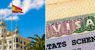Visas Schengen : top 15 des métiers les plus demandés en Espagne