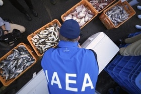 IAEA expert and fish