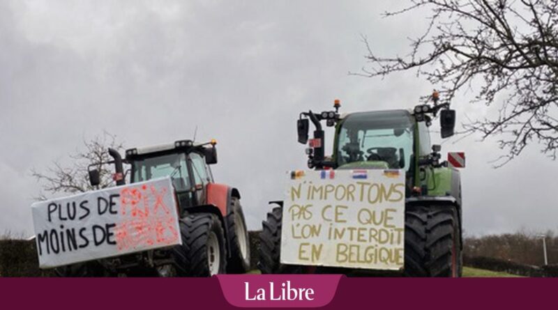 Comment l’extrême droite belge pourrait s’emparer de la colère des agriculteurs