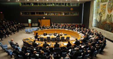 Décisions de la CIJ - Gaza : Alger convoque une réunion du conseil de sécurité de l’ONU