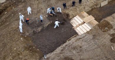Découverte historique majeure : les restes de 49 martyrs algériens exhumés à Tébessa