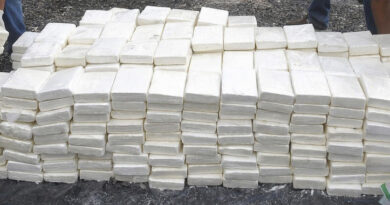 El Guergarat: mise en échec d’une tentative de trafic international de drogues dures et saisie de 362,95 kg de cocaïne