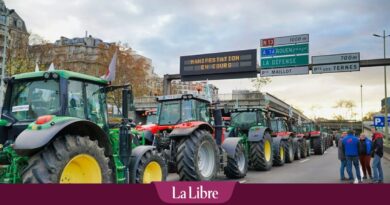 Faibles revenus, normes intenables, sentiment d'abandon: les agriculteurs belges rejoignent la fronde de leurs homologues européens