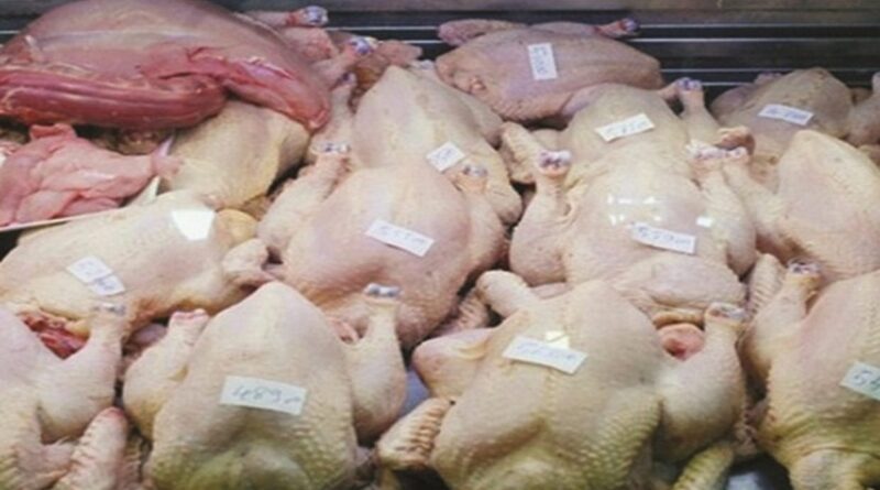 Importation d'intrants avicoles d'Espagne : vers une baisse des prix du poulet ?