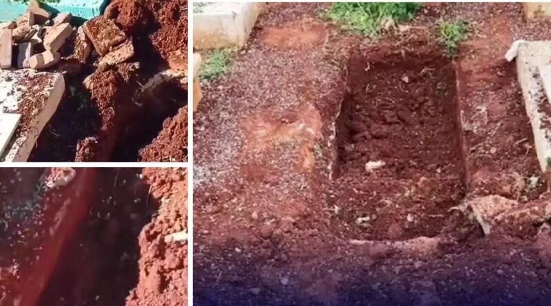 Oran : le pillage d'une tombe et le vol du corps d'un enfant suscitent l'indignation