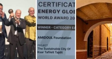 Prix International des villes écologiques : l'Algérie remporte la 1re place en Norvège