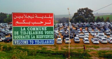 Tidjellabine : l’un des plus grands marchés de véhicules d’occasion en Algérie sur le point de rouvrir