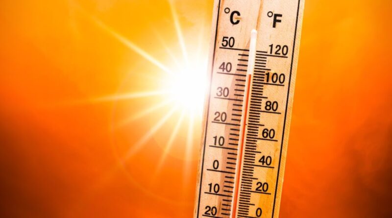 Vague de chaleur en plein hiver : plusieurs wilayas touchées ce 17 janvier