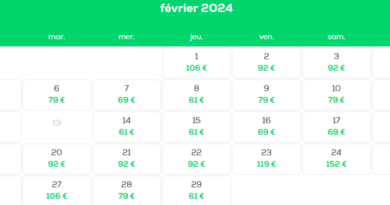 Voyager en février 2024 : les vols Paris - Alger en promotion à 61 euros chez Transavia