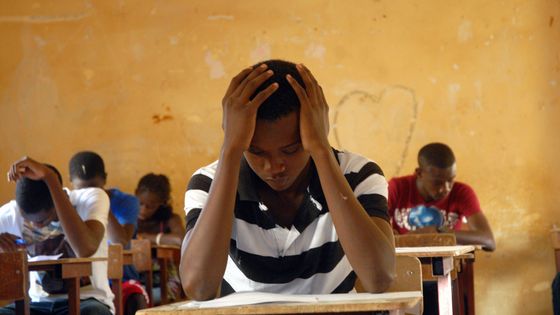 Afrique : près de 100 millions d'enfants et d'adolescents ne sont pas scolarisés - Actualités Tunisie Focus