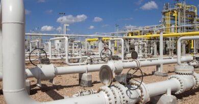 Augmentation des exportations de gaz naturel algérien vers l'Europe
