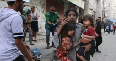 Exécutions, viols... Des expertes de l'ONU s'alarment des violences contre des femmes et des filles à Gaza - Actualités Tunisie Focus