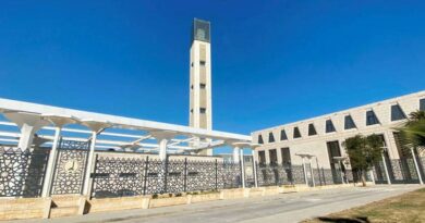 Grande Mosquée d'Alger inaugurée : Tebboune veut promouvoir le "centrisme musulman"