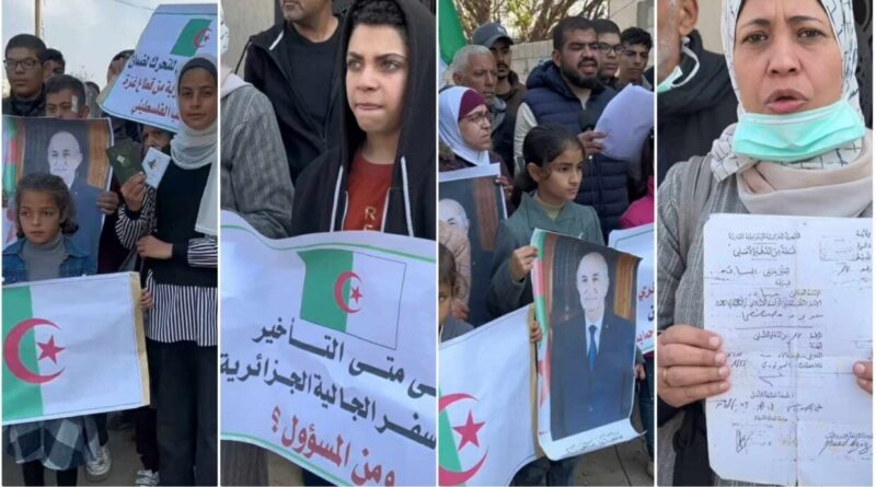 SOS d'Algériens bloqués à Gaza : ils manifestent et demandent à Tebboune à être évacués