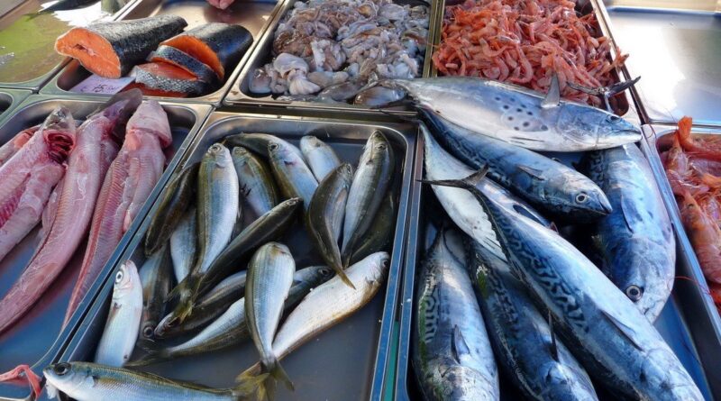 Vers l’exportation des produits halieutiques algériens vers l’Italie et l'Europe